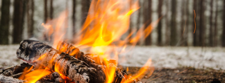 Savun- ja metsäntuoksuinen suomalainen